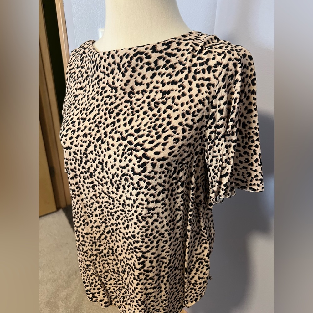short sleeve blouse